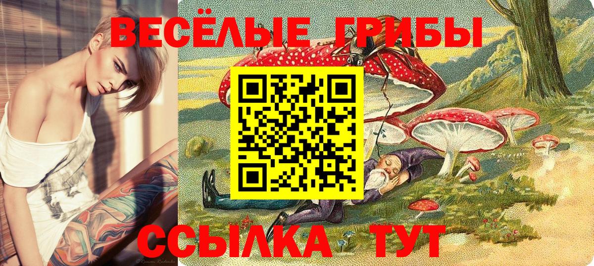 Галлюциногенные грибы Psilocybine cubensis  Вход с VPN  Нарткала 