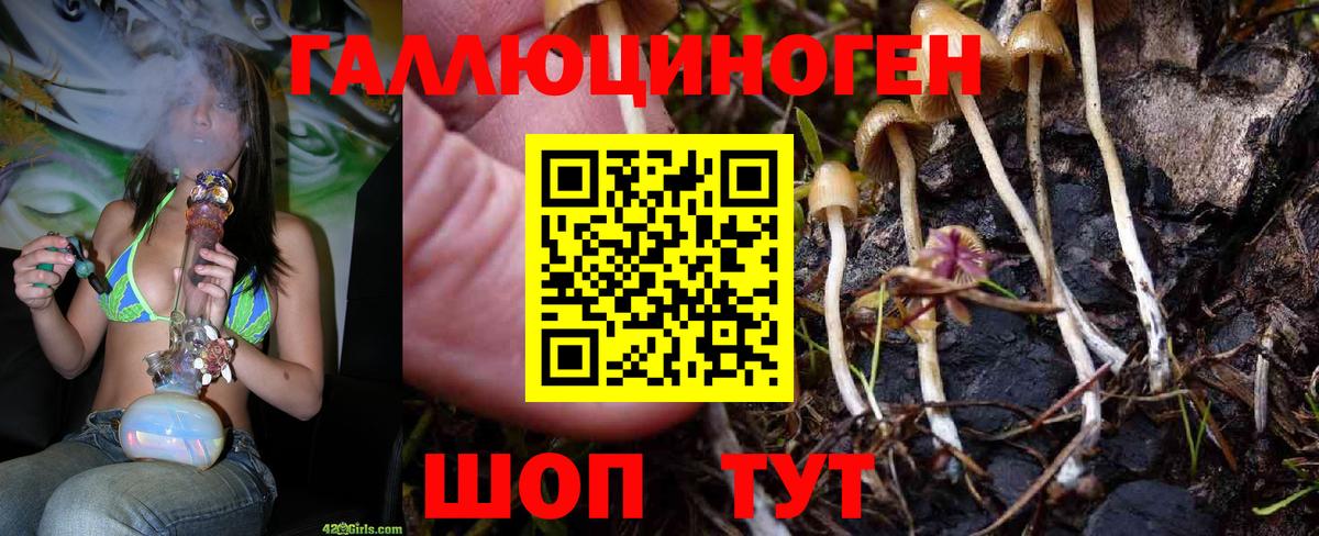Галлюциногенные грибы прущие грибы Нарткала